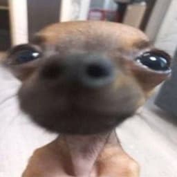 BAELHOIAOA
