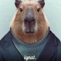 Straym