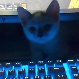kevzrix