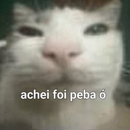 VitorzZ