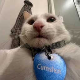 deusssex
