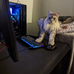 marti