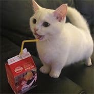 zLeoox