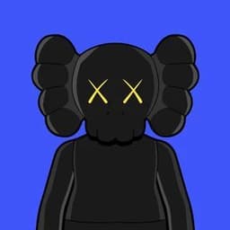 _PIXo