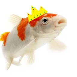 KinglyCrab