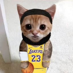 lemeowjames