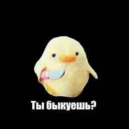 _Qwizzzy_