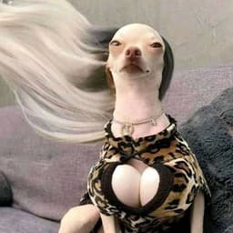 Ohmypolly