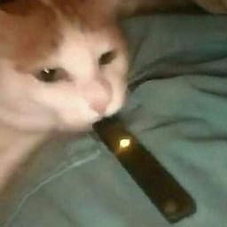 k_rzys66