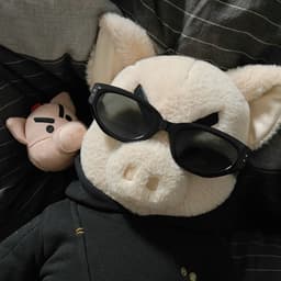 piggyjr