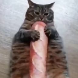 TwoC_