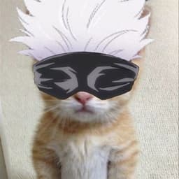 Gojoooo1