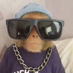 Kleyn0