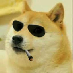 DOGE_TOKYO