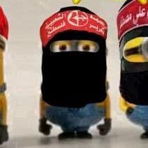 zalupoid