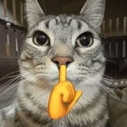 kdrzs