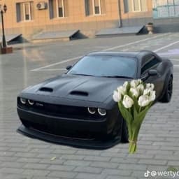 SUPERBATYA7