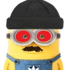 Wisqik