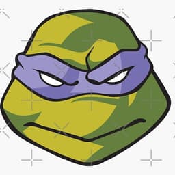 Ninga_turtle