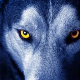 -alpha_wolfy