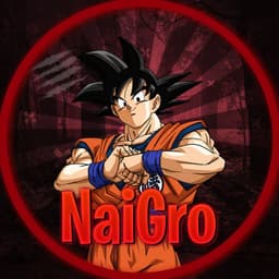 NaiGro2