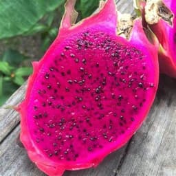 pitayafruit