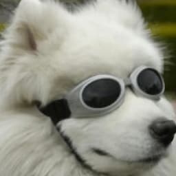 DeriVative_