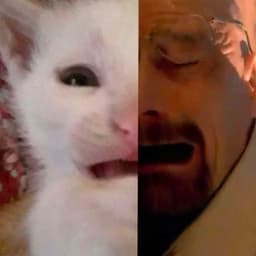RichCat123