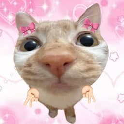 DettLove