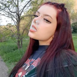 vaDICK_gxll