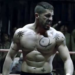 33Boyka