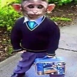 FeShLeR