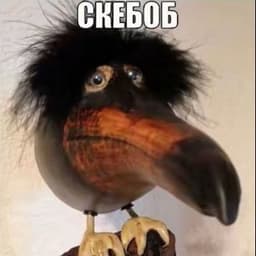 absolute5517