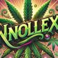 knoLLex
