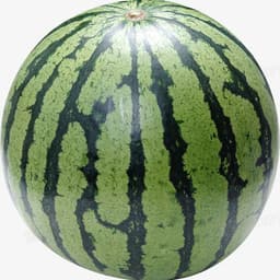 whatmelonis