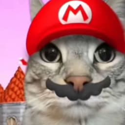 MeowRIO1