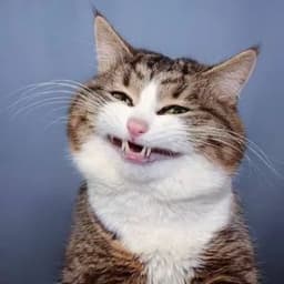 catec