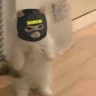 Tobocop
