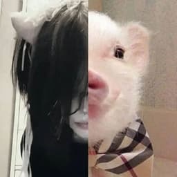 wickedPiGGy