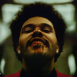 -Kingtonka