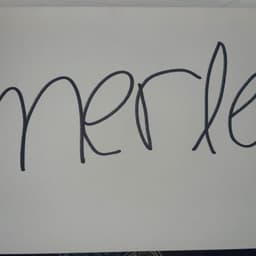 Merle3