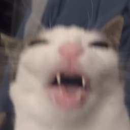 Ed_Ze