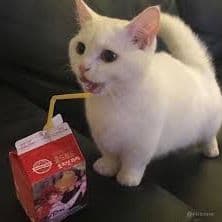 gkskfabqw
