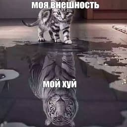 -ZALUPOGLAZ-