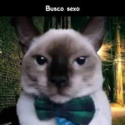 0NeNe0