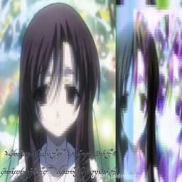 shine2007
