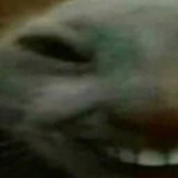 Keyndrel