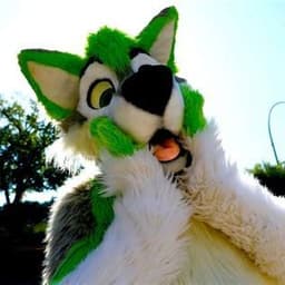 Pawsitive1