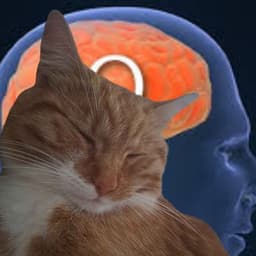 Newman6666