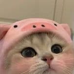 _Fufunt1k_